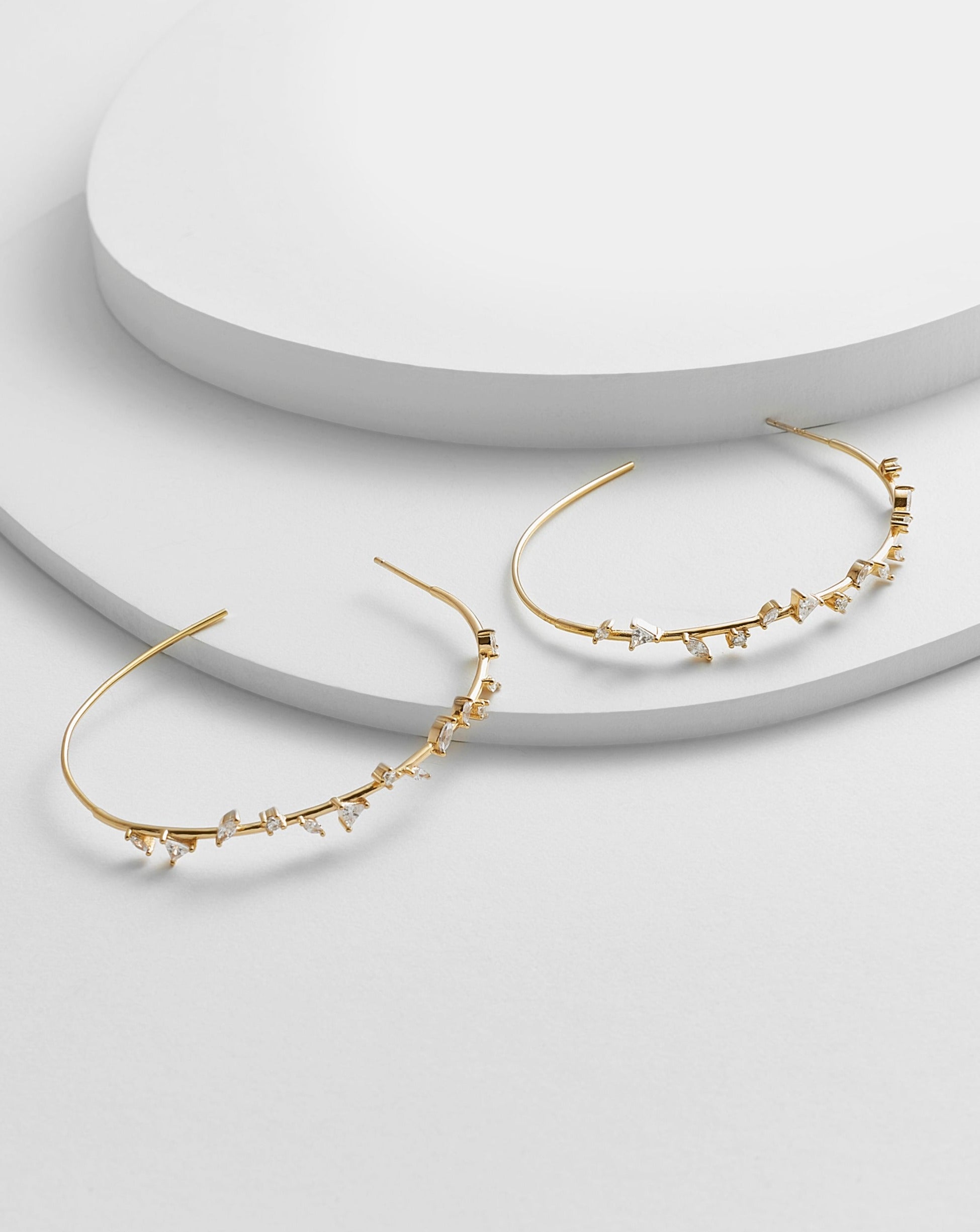 Leticia Leaves Oval Hoop Earrings