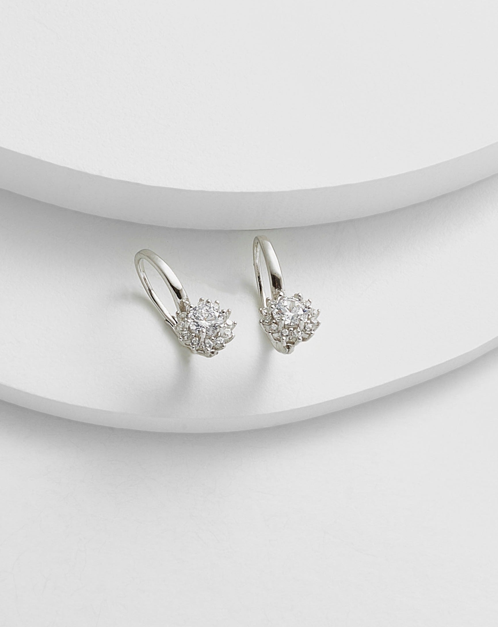 Fancy Leverback Earrings