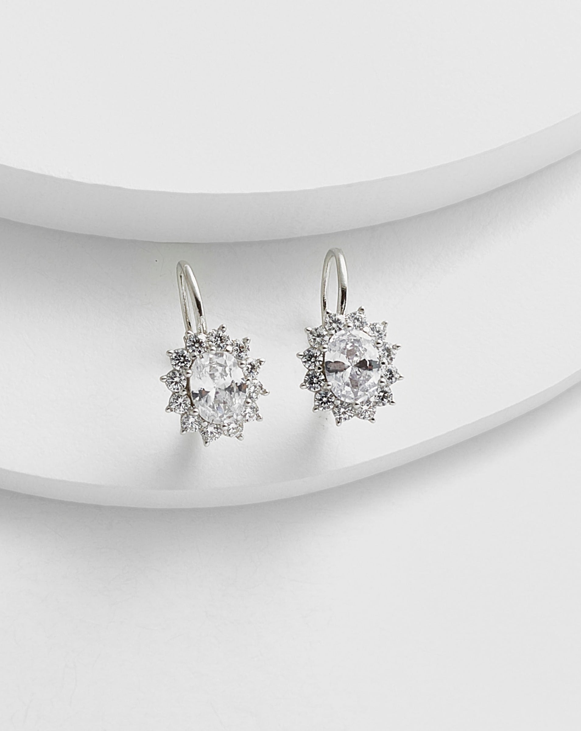 Fancy Leverback Earrings