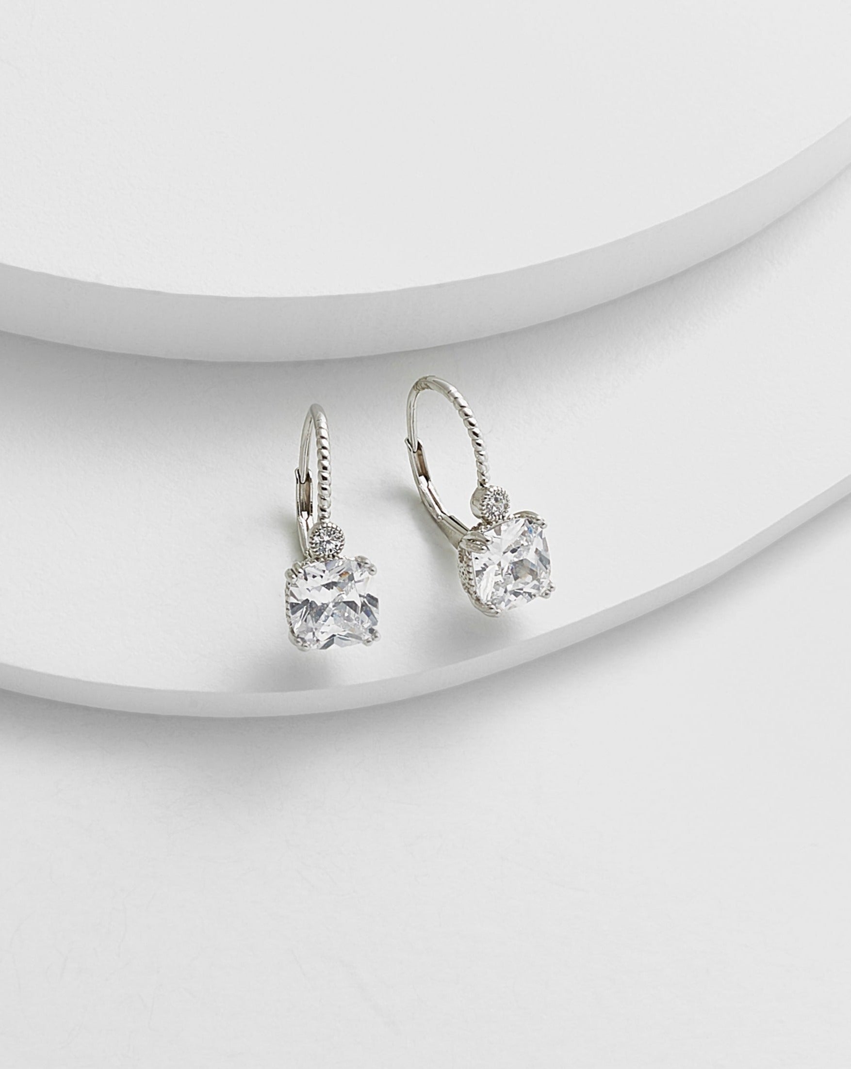 Fancy Leverback Earrings