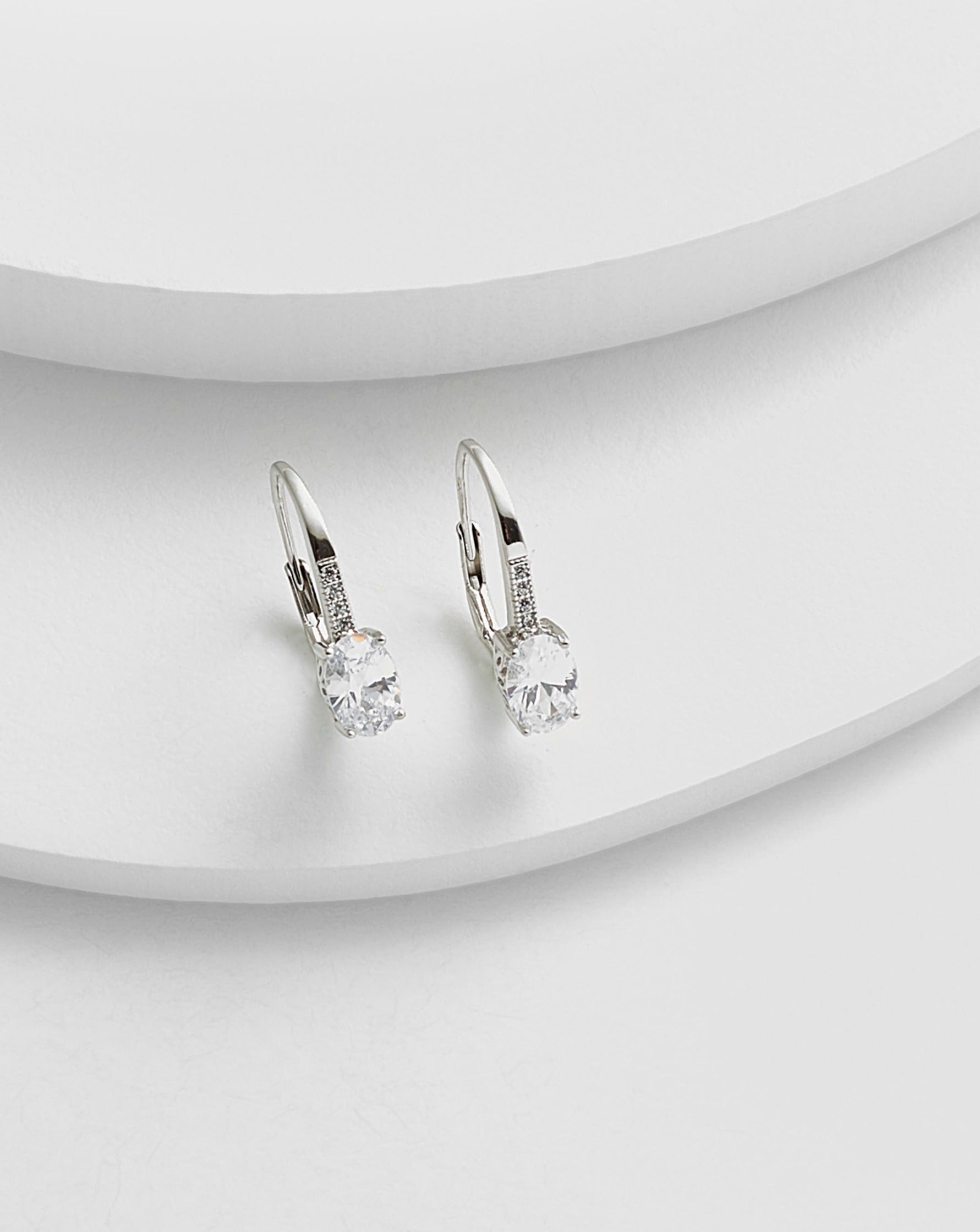 Fancy Leverback Earrings